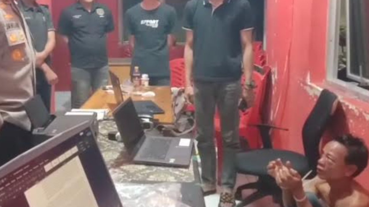 Heboh Pria Jagal 100 Ekor Kucing, Dagingnya Dijual Rp100.000 Per Kilo Ngakunya Kambing Muda