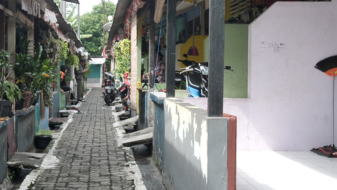 Jangan Anggap Sepele Hama dan Tikus di Rumah, Begini Cara Mudah Mengatasinya