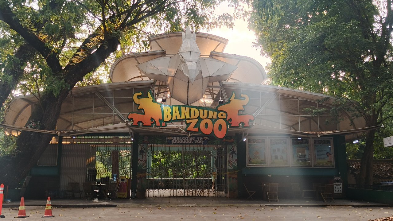 Tak Sekadar Tutup, Bandung Zoo Berjuang Bertahan di Tengah Konflik