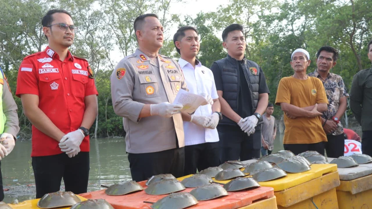 Polres Batu Bara gagalkan perdagangan satwa belangkas