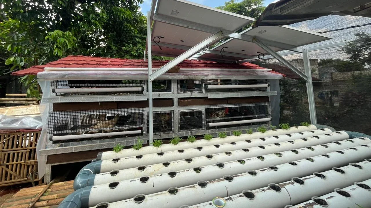 Inovasi Kompetisi PFsains: Integrasikan Sektor Pertanian, Pengelolaan Sampah dan Energi Terbarukan