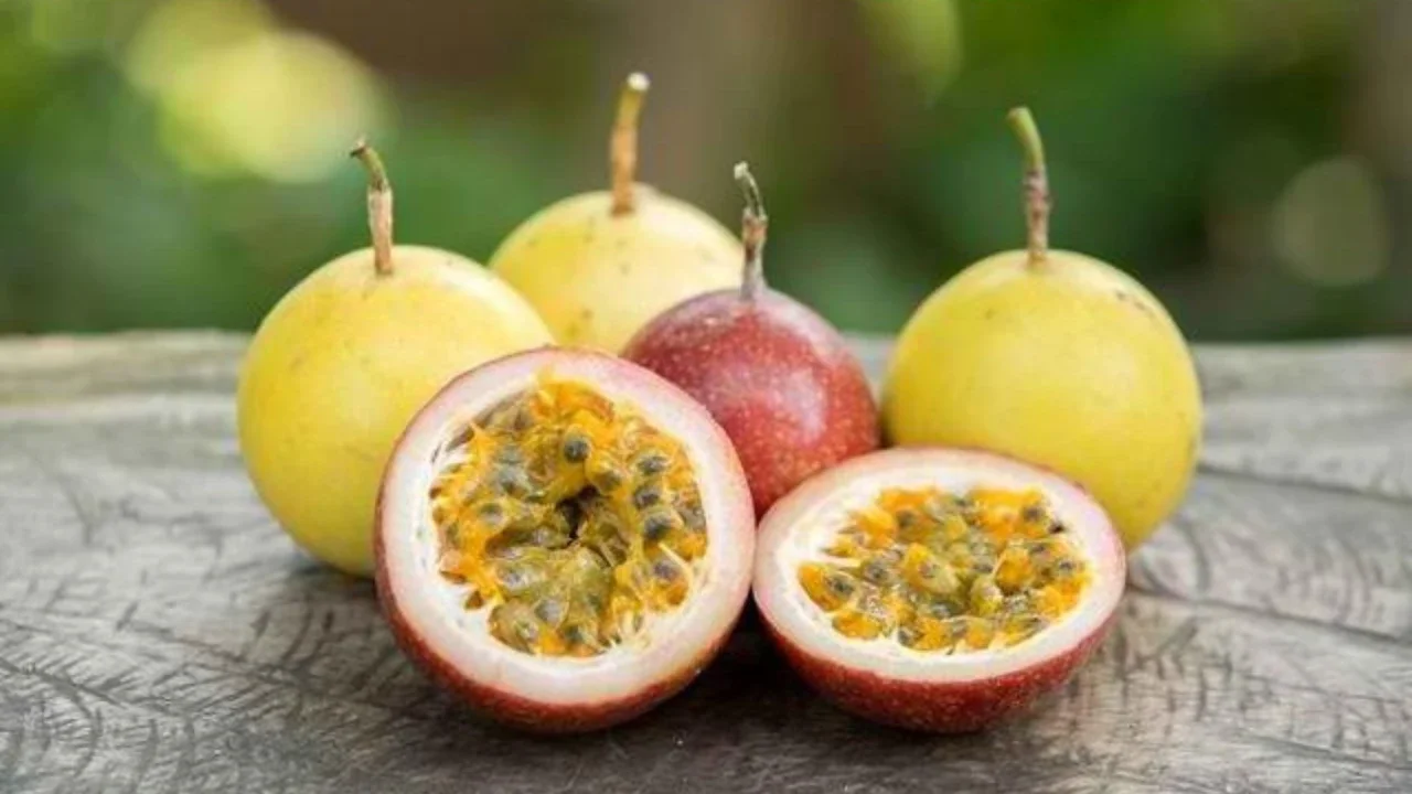 Buah Markisa (Foto: Marcello Aquino on Unsplash)