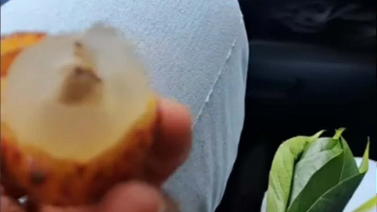 Ibu-ibu di Purwakarta Kena 'Prank' Pedagang, Niat Beli Leci Ternyata Isinya Rambutan Gundul
