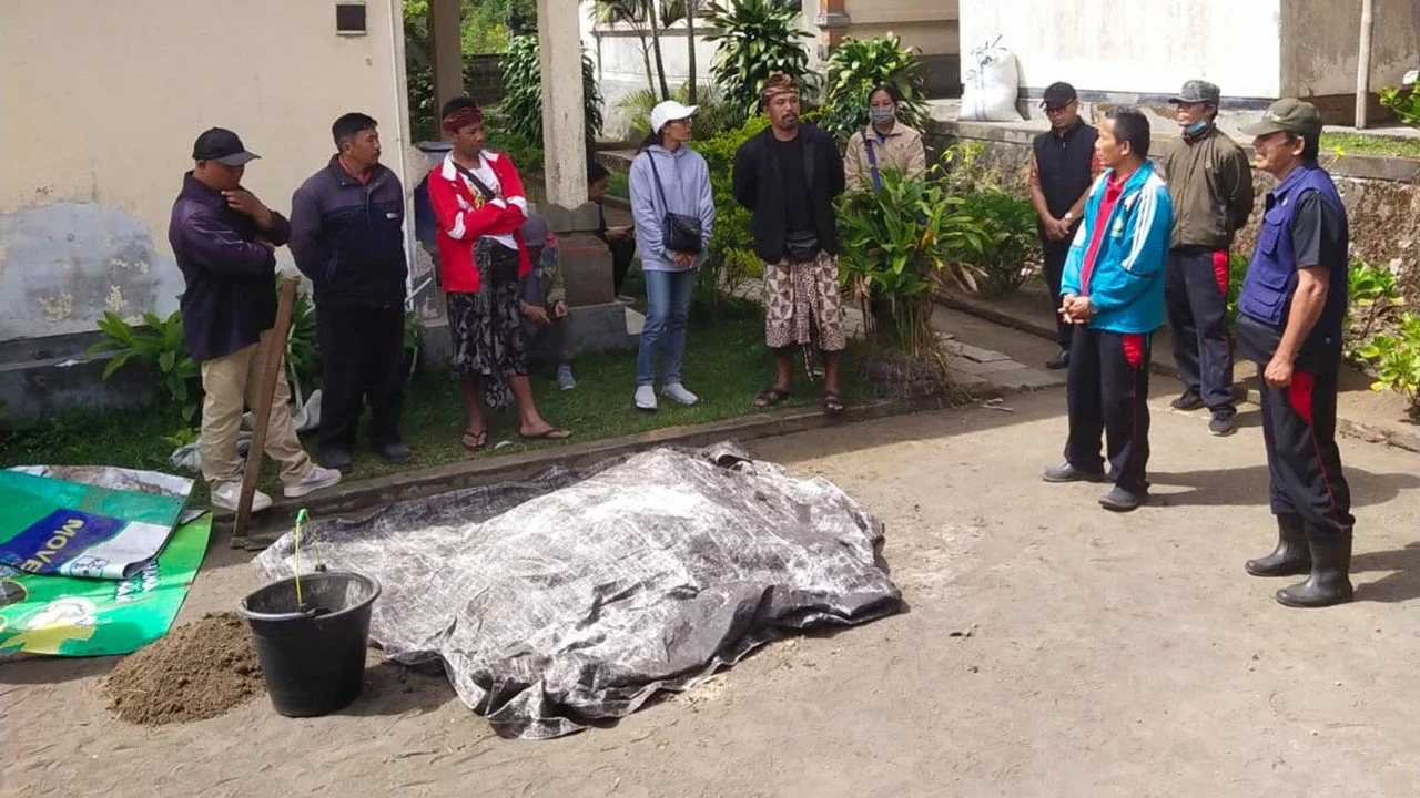 Lalat Serbu Sejumlah Desa di Kintamani Bangli, Ternyata Ini Penyebabnya