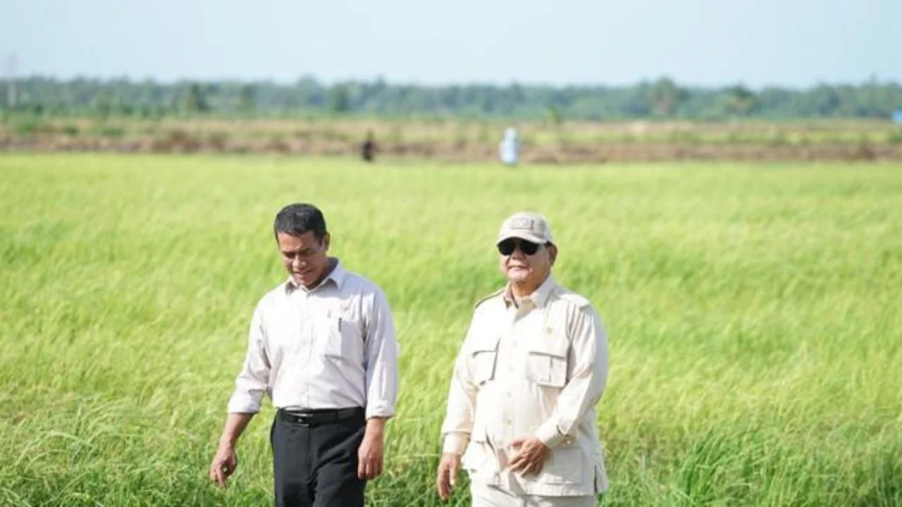 Presiden Prabowo: Indonesia Sudah Swasembada Pangan Tahun 2025