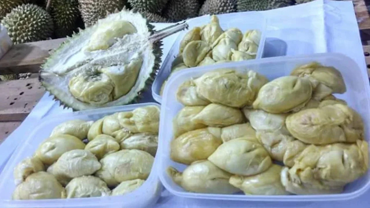 Perdana, 48 Ton Durian Beku Indonesia Resmi Masuk Pasar China