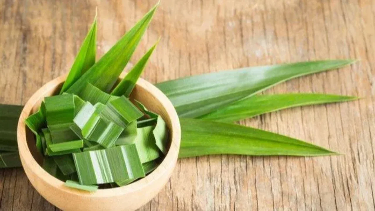 Daun Pandan