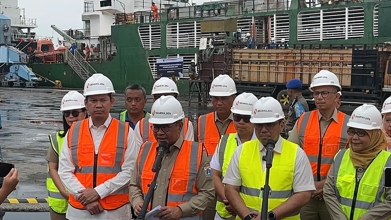 DKI Impor 7.500 sapi australia