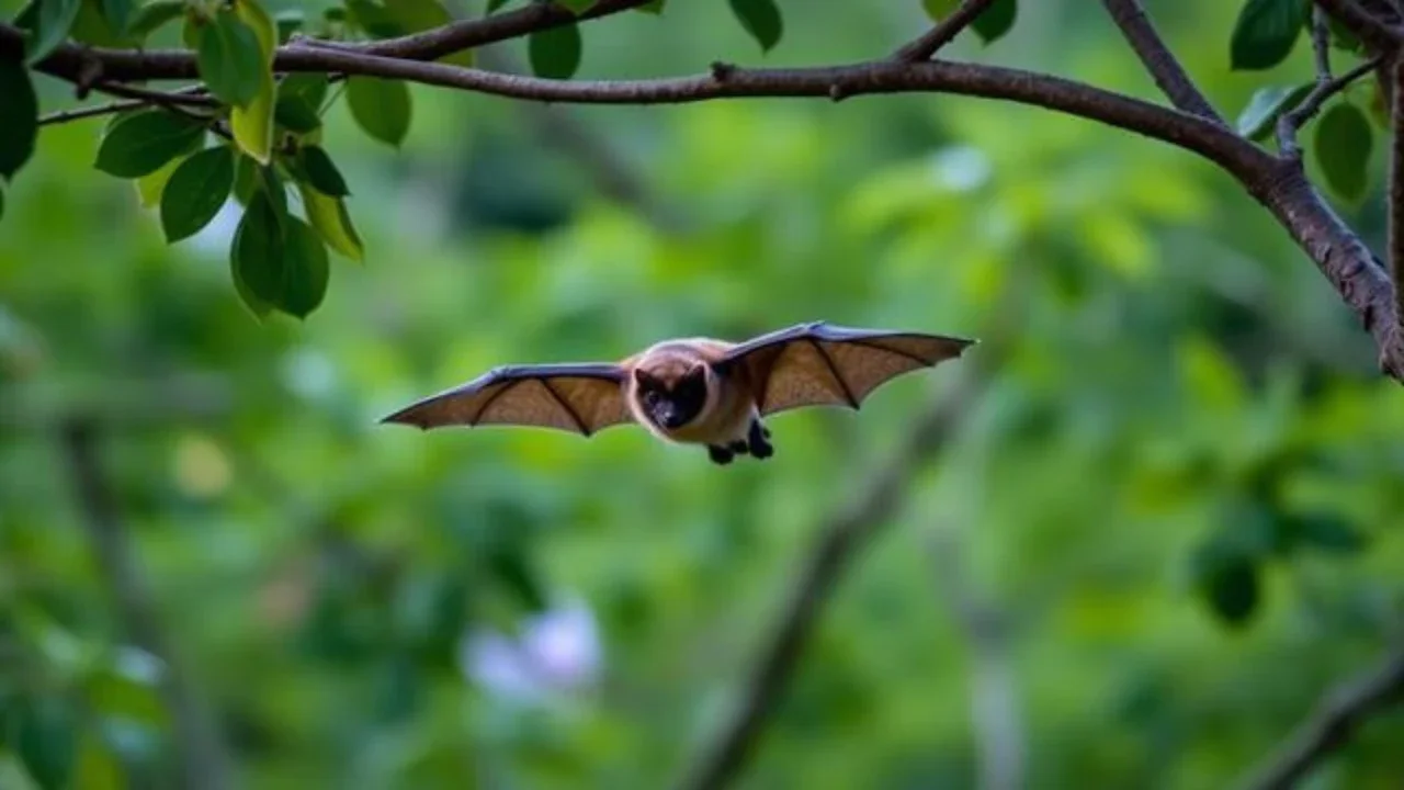 Cegah virus Nipah, hindari konsumsi buah tanpa dicuci dan pastikan tak ada bekas gigitan kelelawar. (Foto dibuat oleh AI).