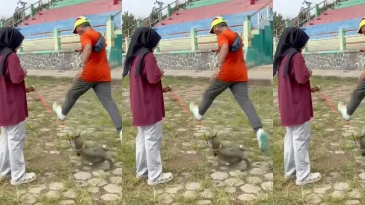 Viral Kucing Ditendang hingga Tewas, Pemilik Tolak Damai dan Minta Pelaku Diproses Hukum
