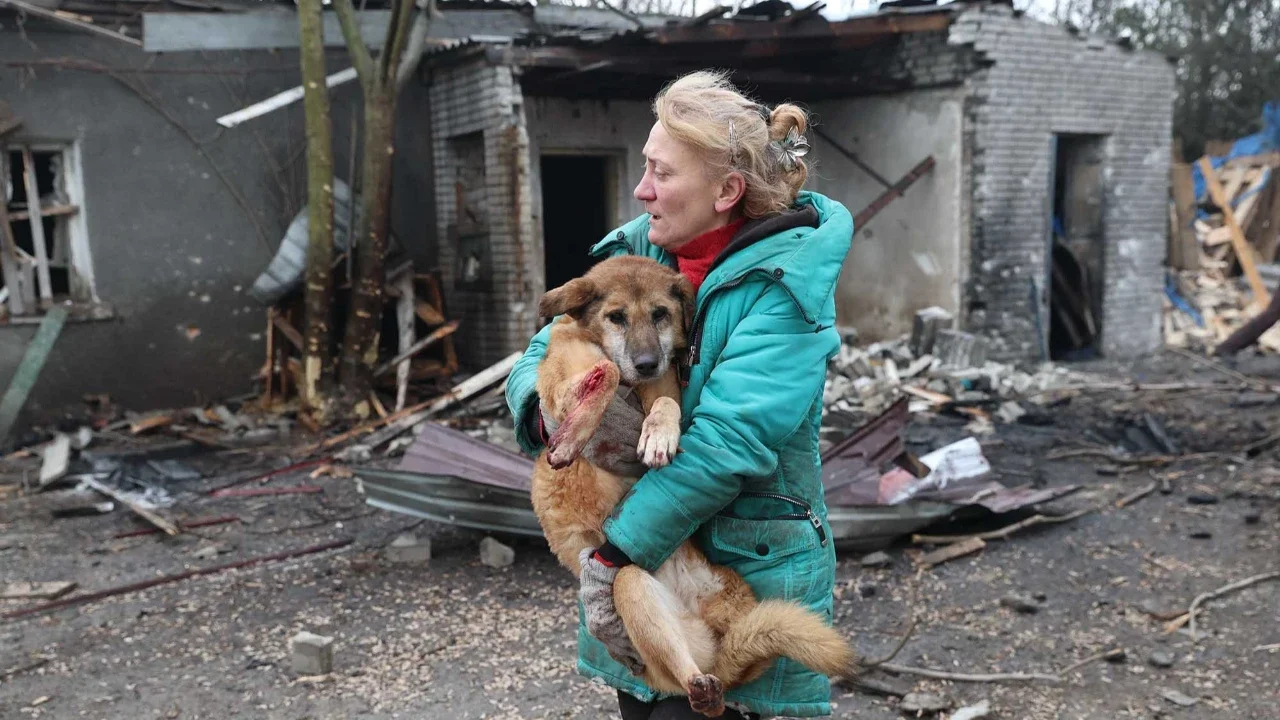 Warga mengevakuasi anjing yang terluka setelah tempat penampungan anjing liar hancur akibat serangan udara Rusia di Zaporizhzhia, Ukraina, Jumat (06/02/2026).