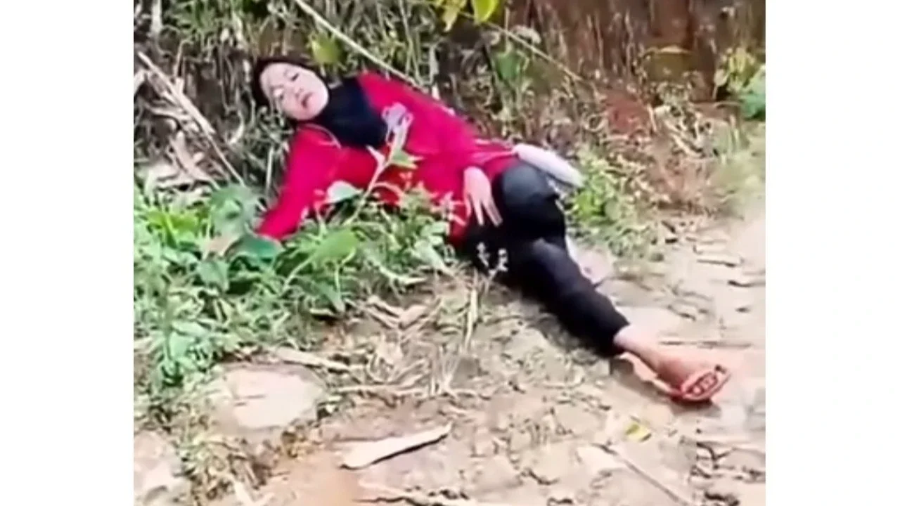 Heboh di Sinjai, Perempuan Dipatok Ular Kobra Hingga Terkapar di Pinggir Jalan