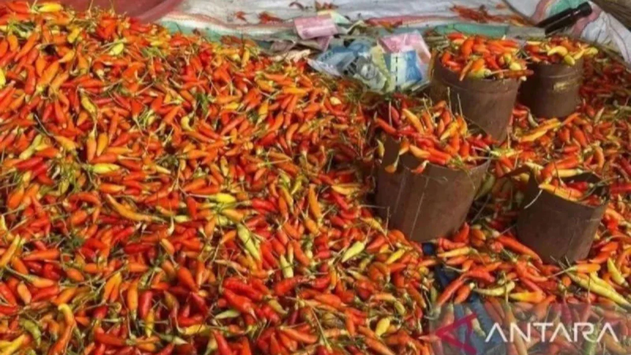 Menjelang Lebaran, harga sejumlah komoditas pangan mengalami kenaikan signifikan. Pusat Informasi Harga Pangan Strategis (PIHPS) Nasional mencatat harga cabai rawit merah tembus Rp131.000 per kg, memicu kekhawatiran masyarakat akan lonjakan harga pangan j