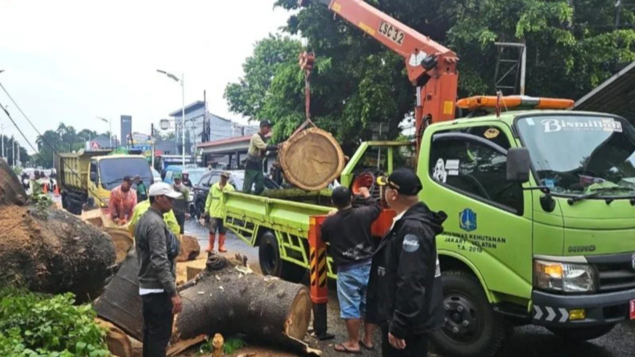Pemprov DKI Tanggung Biaya Pemakaman Pemotor Tewas Akibat Tertimpa Pohon Tumbang di Jaksel