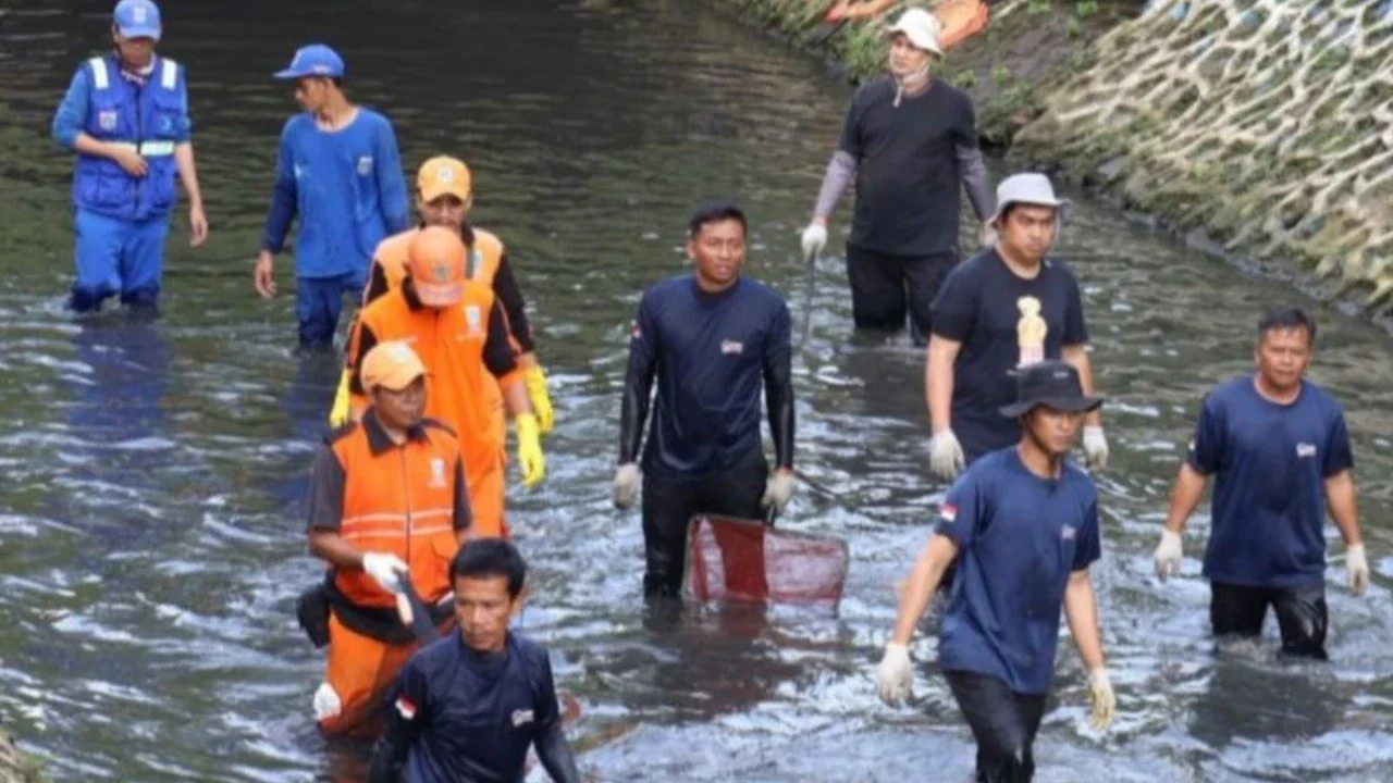Pemprov DKI Kubur Ikan Sapu-Sapu Atasi Pembludakan Populasi