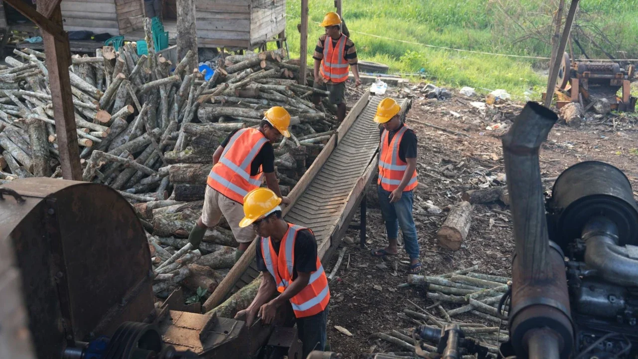 Potensi Biomassa Nasional Capai 80 Juta Ton, Baru Dimanfaatkan 20 Juta Ton