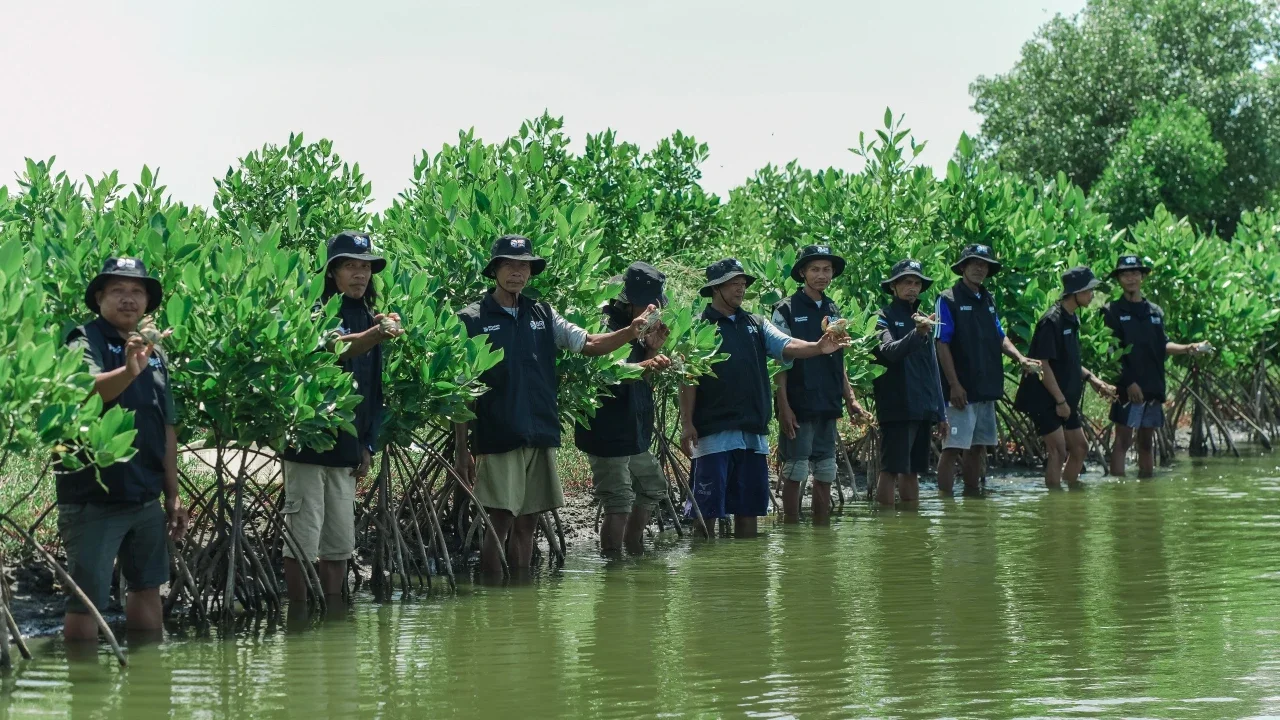 Peringati Hari Bumi, BRI Perkuat Komitmen Jaga Ekosistem Pesisir Lewat Penanaman Mangrove di Muara Gembong Bekasi
