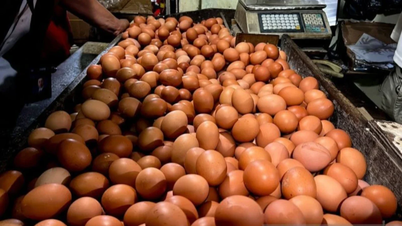 Update Harga Pangan Hari Ini: Telur Ayam Dijual Rp32.000 per Kg, Bawang Merah Rp45.950 per Kg