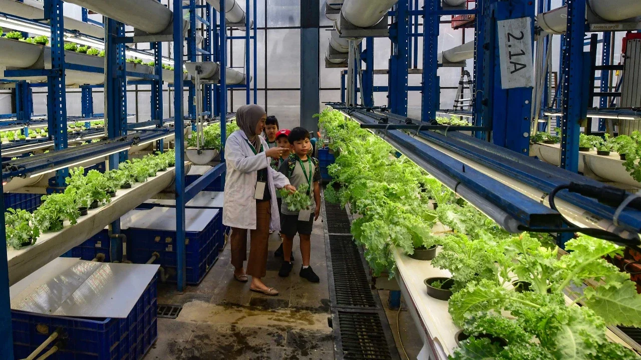 Siswa Life Community School  belajar tentang  sistem pertanian hidroponik di Ladang Farm, Lebak Bulus, Jakarta, Kamis (30/04/2026).