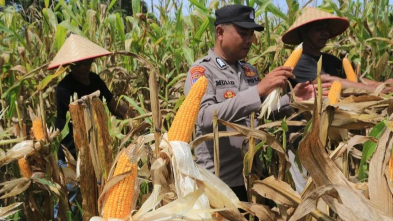 Prabowo Puji Terobosan Polri: Tongkol Jagung Disulap Jadi Briket Bernilai Ekonomi