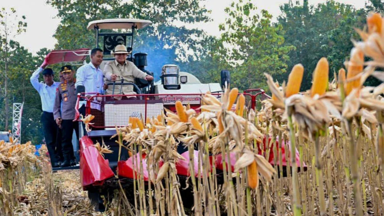 Presiden Prabowo Subianto bersama Kapolri Listyo Sigit Prabowo dan Mentan Andi Amran Sulaiman  mengikuti panen raya jagung serentak Kuartal II Tahun 2026 di Kabupaten Tuban, Jawa Timur, Sabtu (16/5),