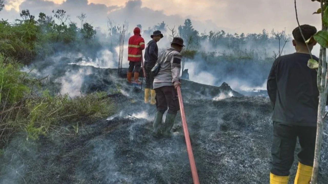 Lahan Gambut Mulai Kering, Bahaya Karhutla Mengancam