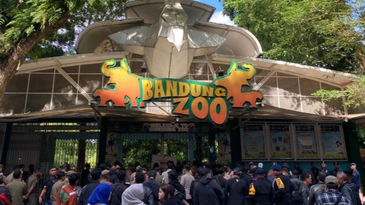 Resmi! Fauna Land Ancol Menangi Lelang dan Jadi Pengelola Baru Bandung Zoo
