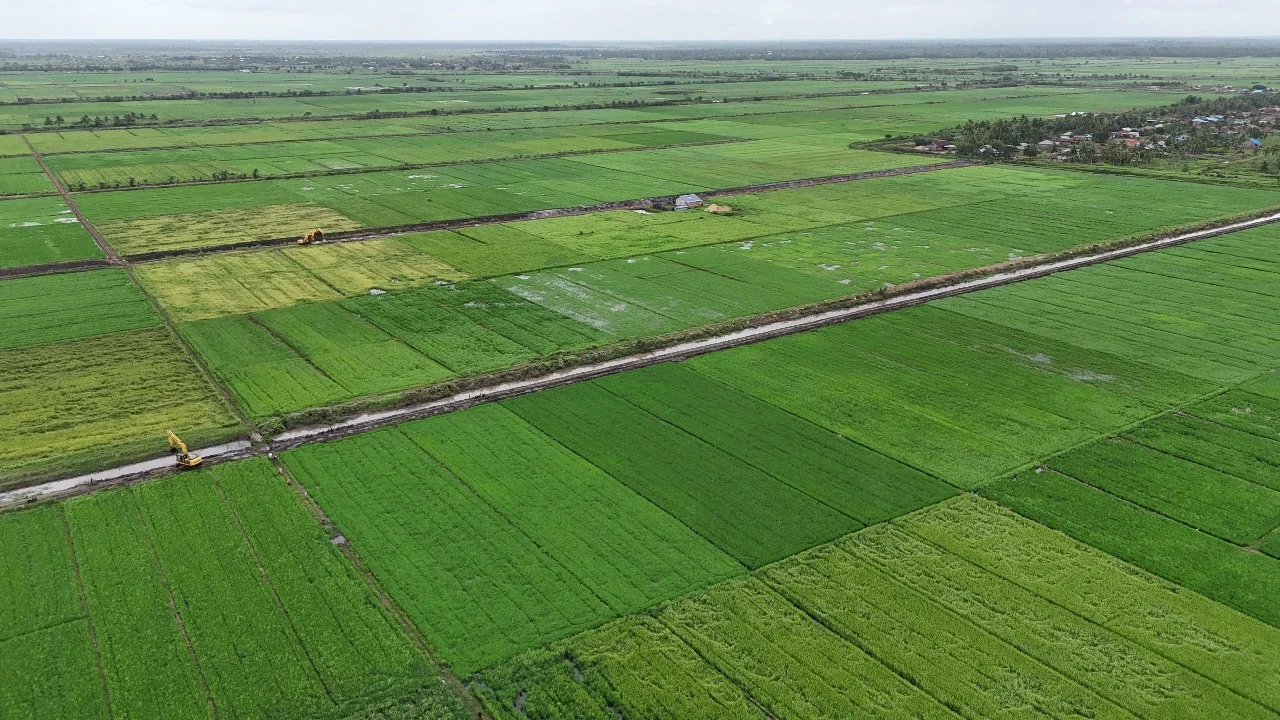 Pemprov Papua Selatan, PSN Buka Ribuan Lapangan Kerja dan Dorong Kesejahteraan Warga
