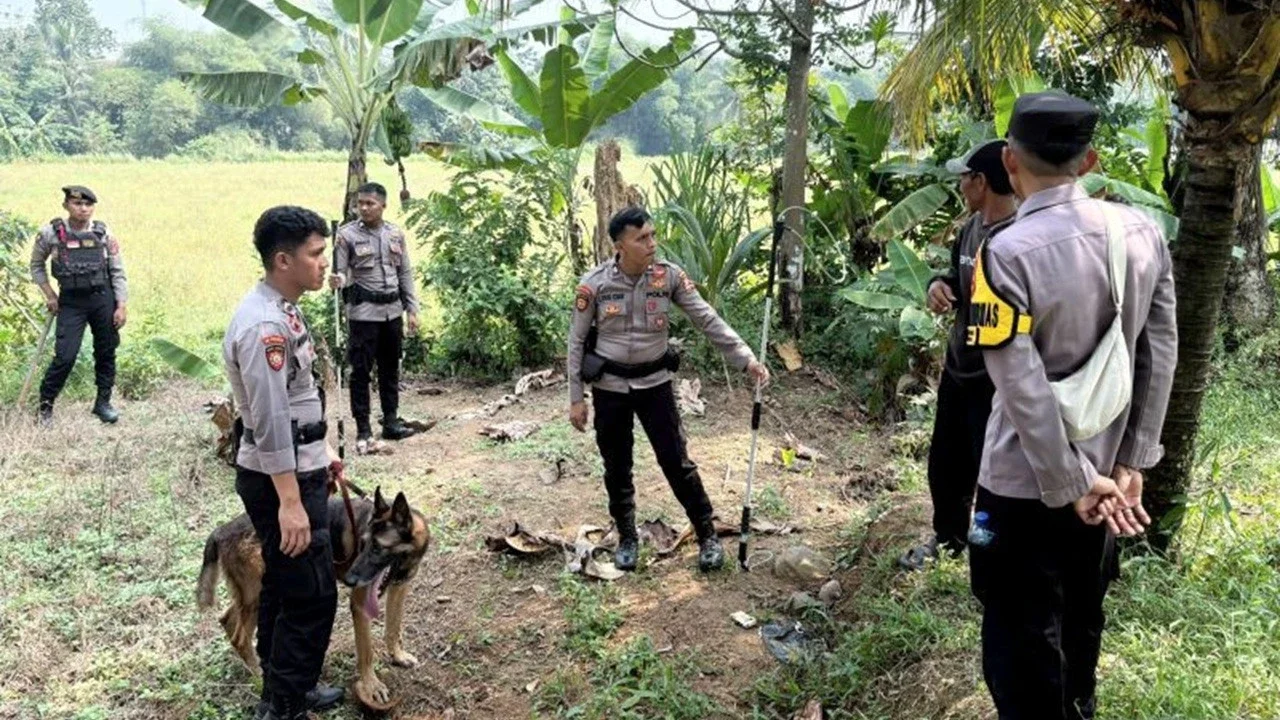 Warga Resah Anjing Pemburu Gigit Bocah hingga Meninggal di Bogor Lepas, Tim K9 Dikerahkan Menyisir Hutan Jasinga