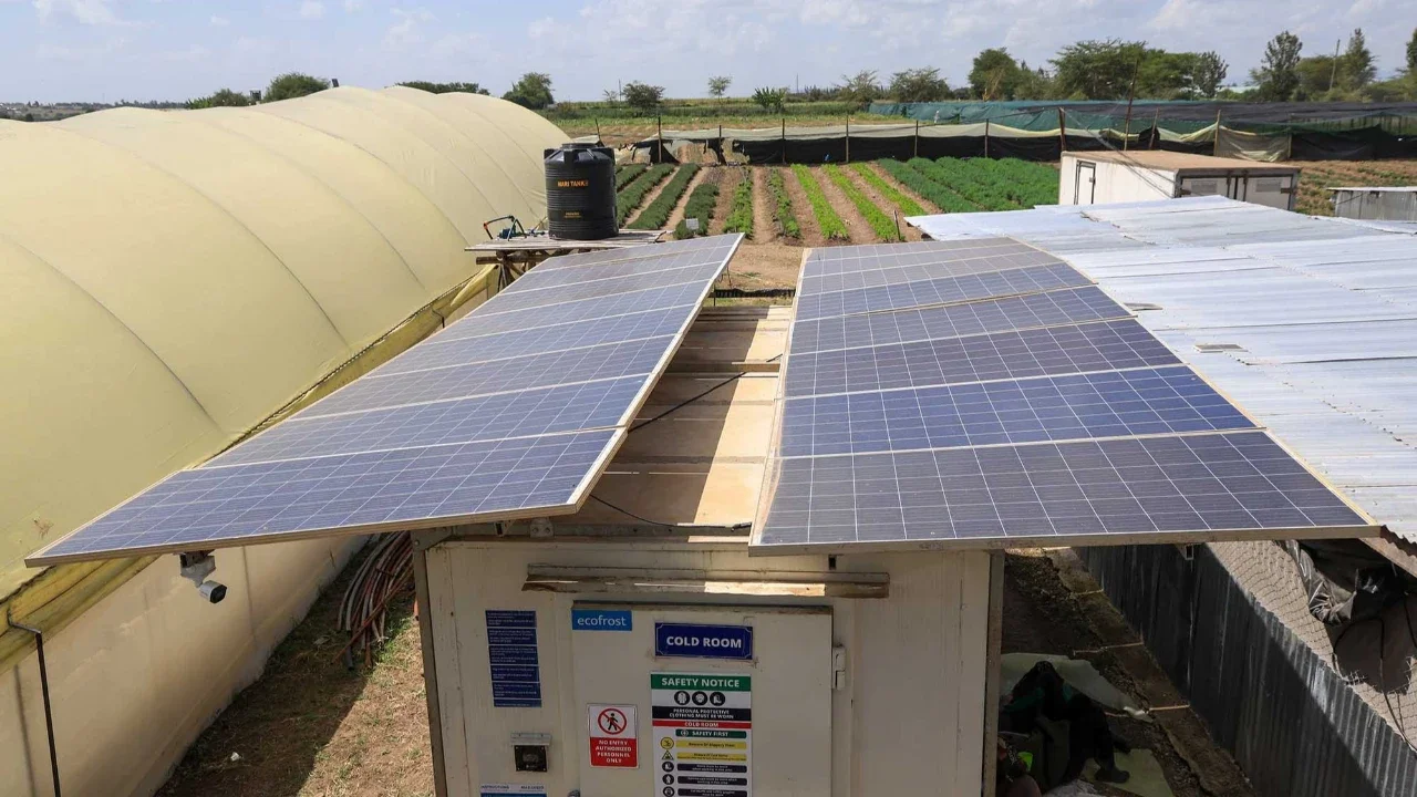 Pemandangan unit penyimpanan dingin bertenaga surya di Citadel Agri Merchants di Kitengela, Kabupaten Kajiado, Kenya, (22/05/2026).