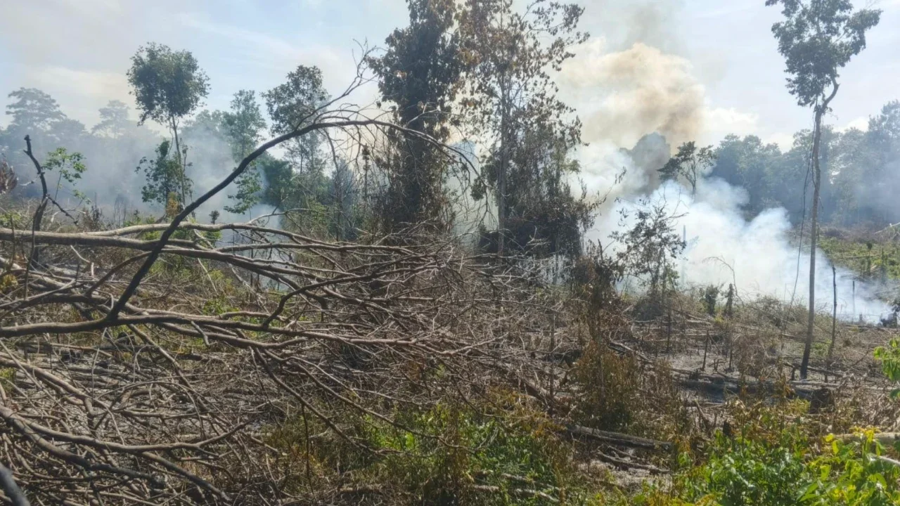 Tepergok Bakar Lahan untuk Buka Kebun, Petani di Musi Rawas Ditangkap Polisi