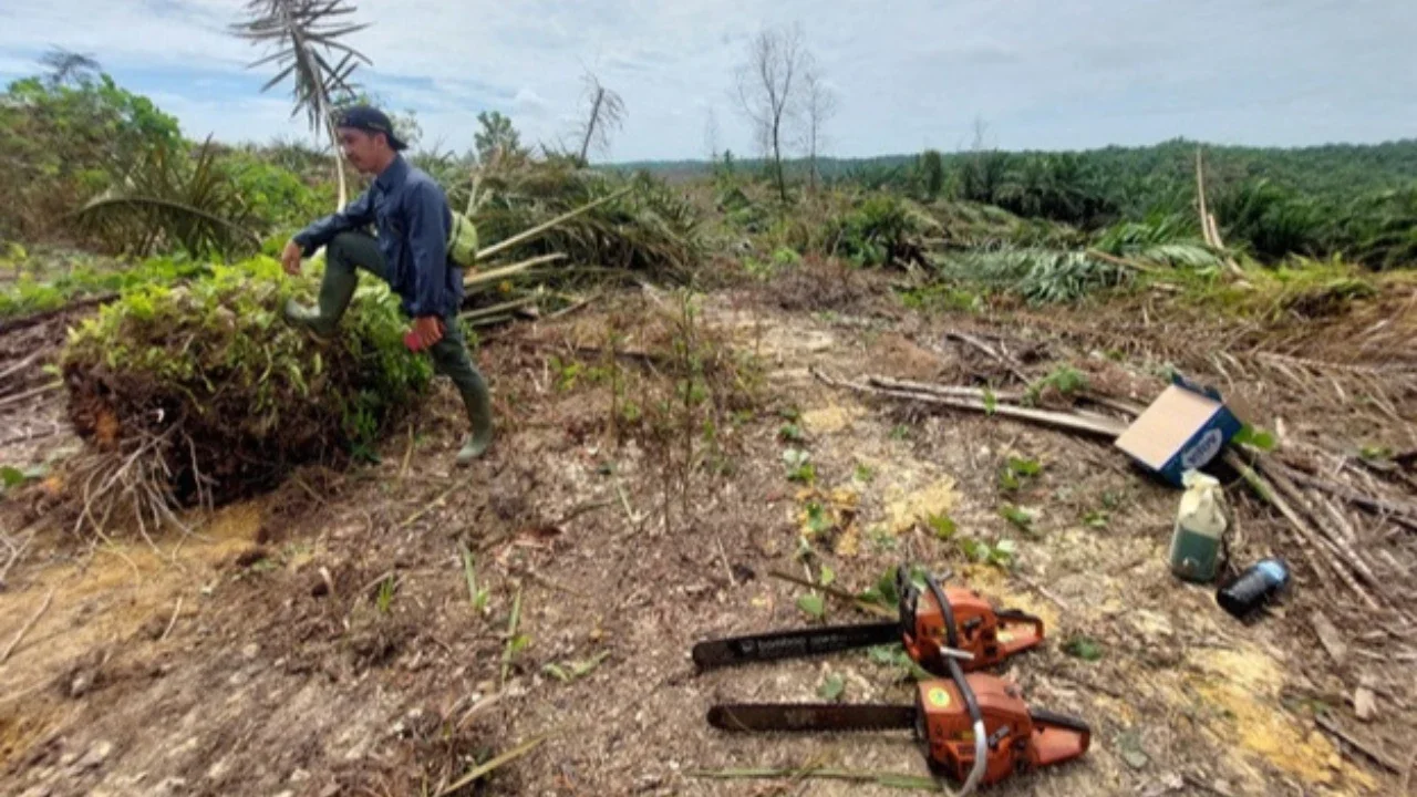 Agrinas Palma Dapat Tugas Buka 400.000 Hektare Lahan Sawit Baru