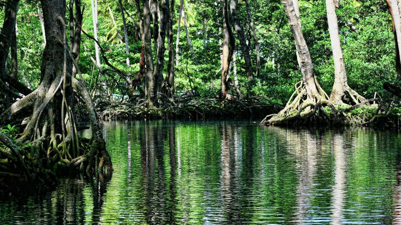 Kota Kuno 2.500 Tahun Ditemukan di Hutan Amazon, Lebih Besar dari Suku Maya