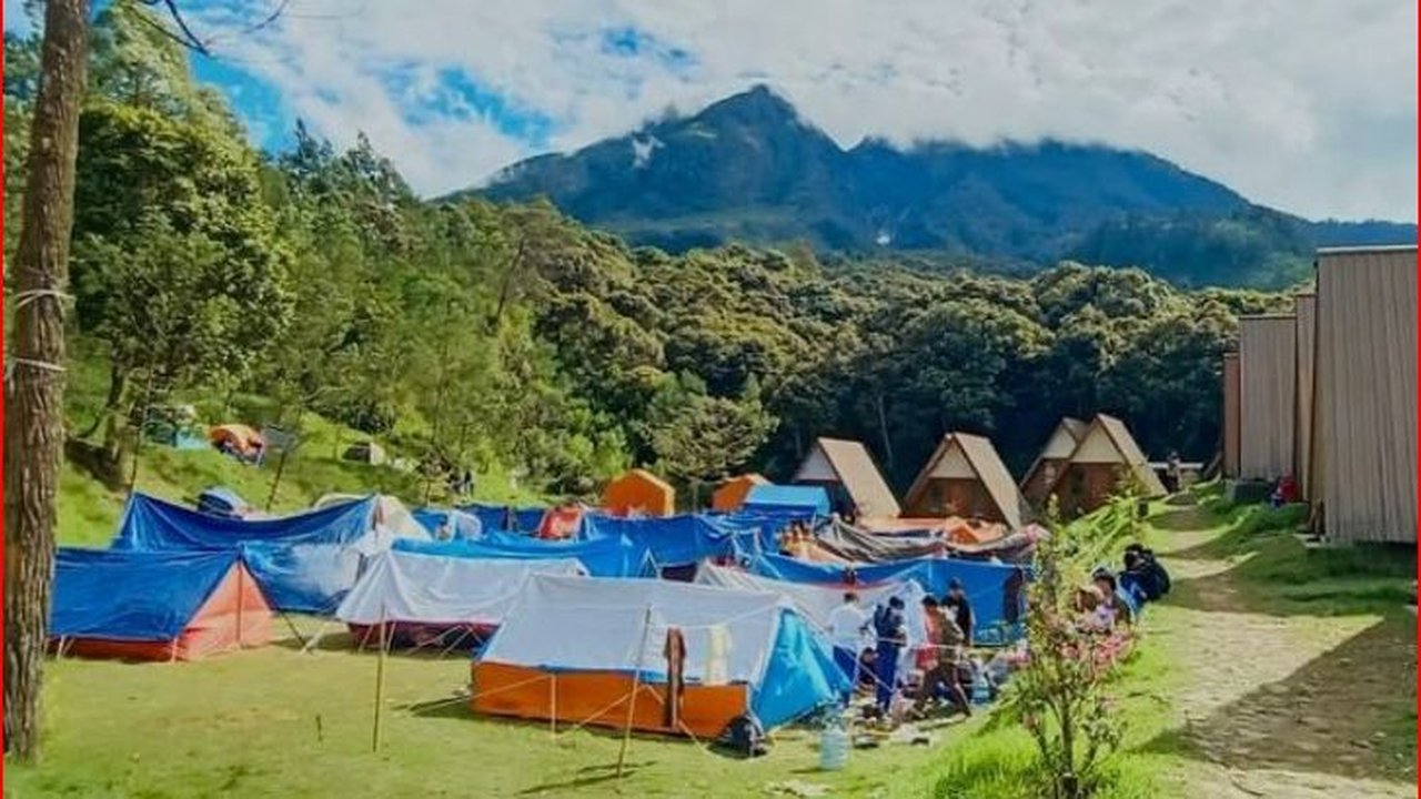Merasakan Sensasi Berkemah di Bukit Sakura, Surga Tersembunyi di Lereng Gunung Lawu