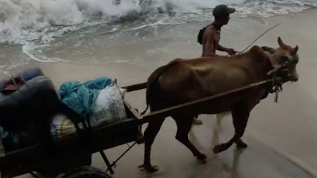 Jalan di Lampung Rusak Parah Warga Bertaruh Nyawa Lewat Pantai, Dana Desa Ramai Dipertanyakan