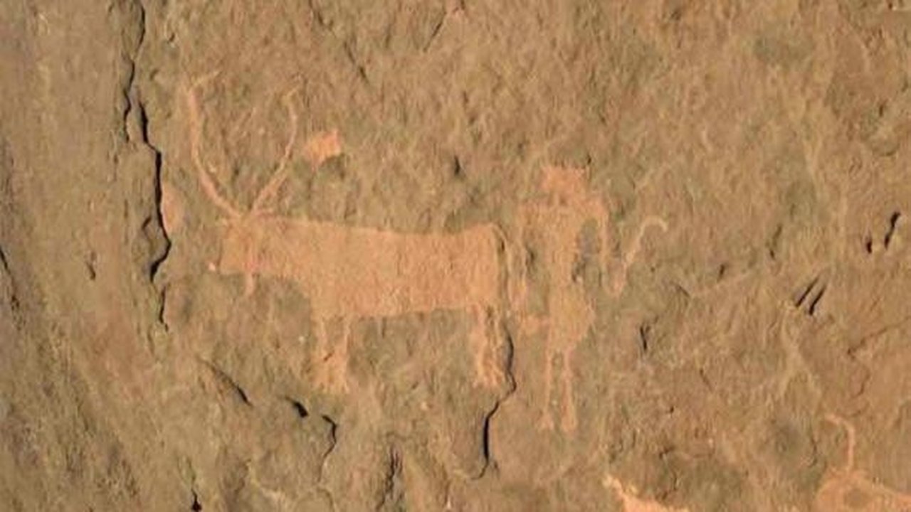 Arkeolog Temukan Gambar Hewan Ternak di Batu Berusia 4.000 Tahun, Jadi Bukti Gurun Sahara Dulu Pernah Hijau Subur
