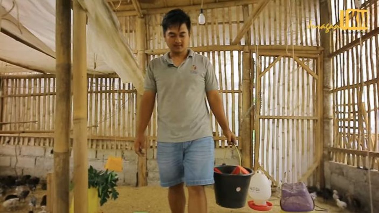 Dulu Susah, Pria Lulusan SMA Ini Sukses Beternak Ayam