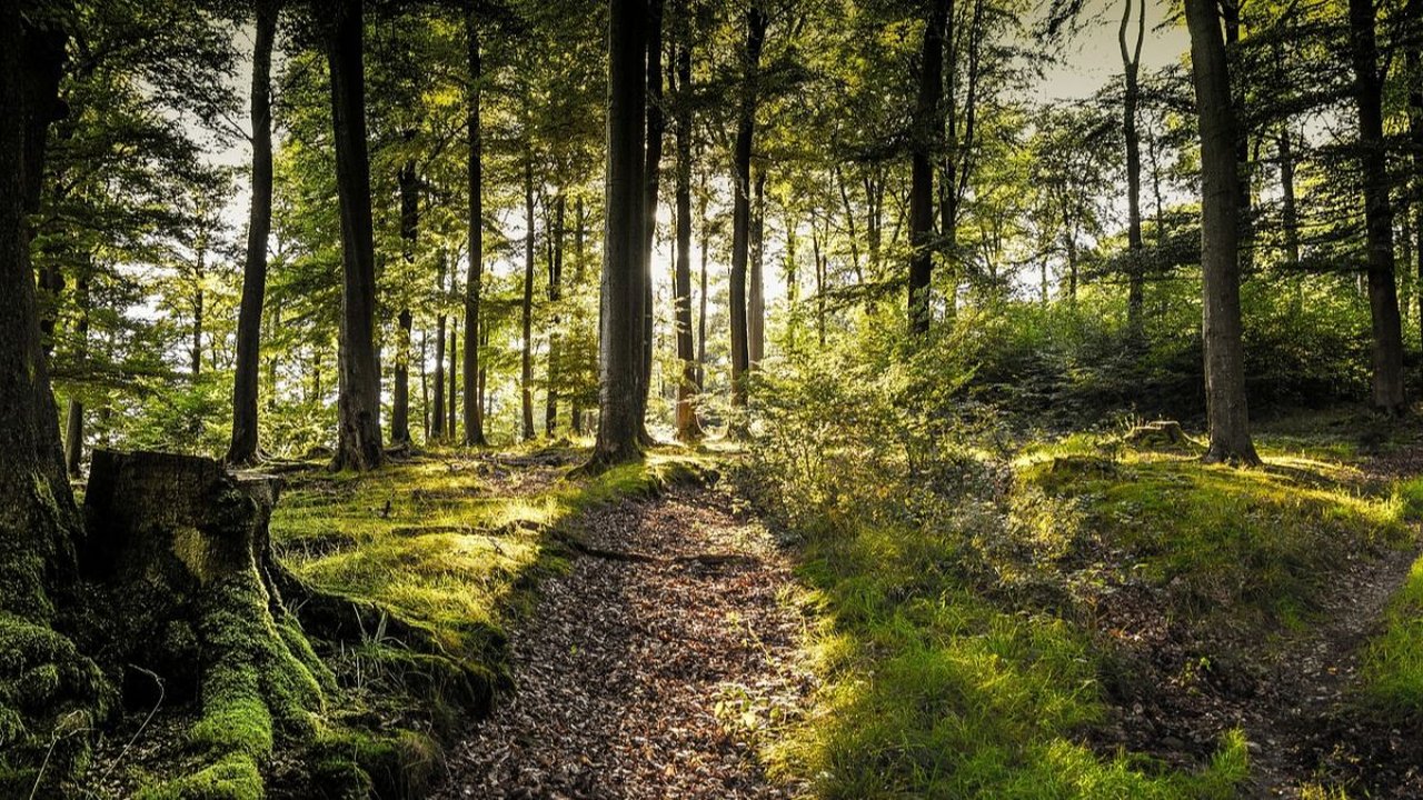 Wisata Imogiri Populer, Sajikan Pemandangan Alam Indah dan Memukau