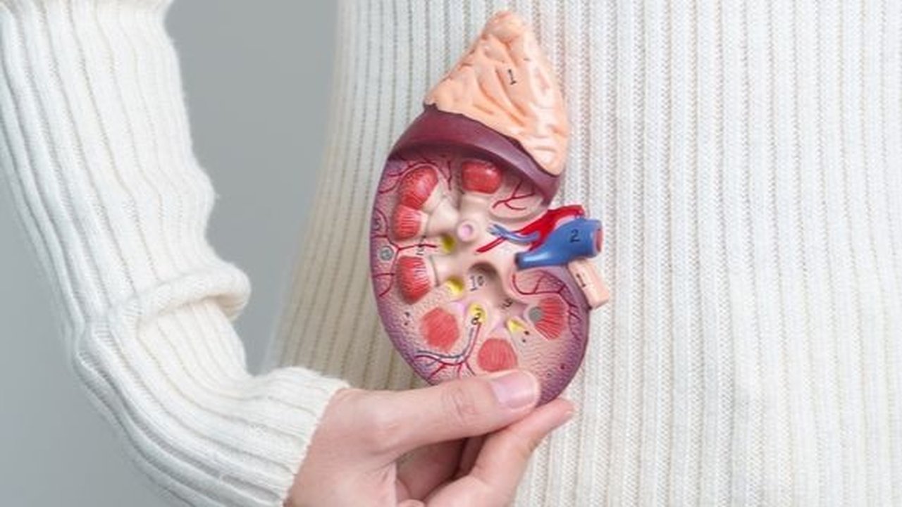 Mengenal 5 Tanda Awal Gangguan Ginjal yang Wajib Diwaspadai, Segera Periksakan Diri!