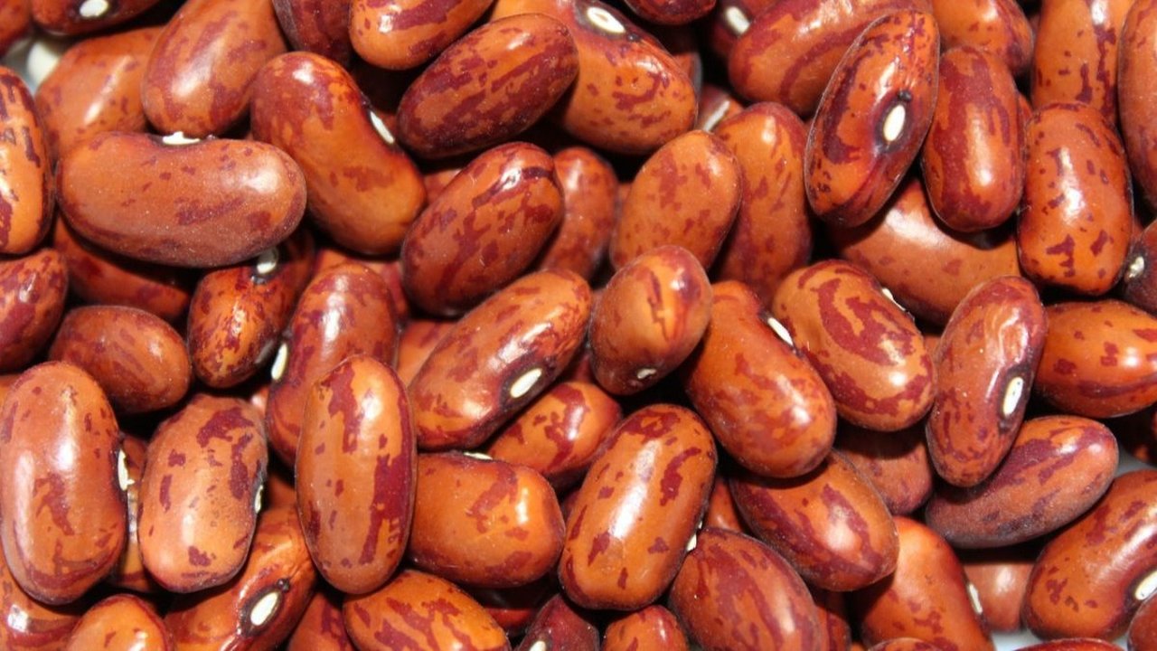 6 Manfaat Kacang Merah untuk Ibu Hamil, Efek Mengontrol Tekanan Darah