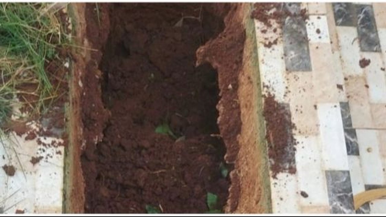 Viral Pria Datangi Makam Neneknya yang Runtuh Usai Dapat Laporan, Temukan Hal ‘Mistis’