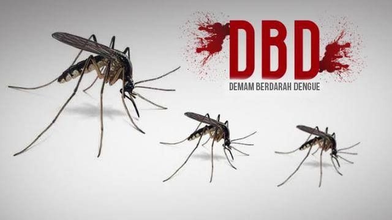 Kemenkes: Penyintas Covid-19 yang Kena DBD Tak Muncul Bintik Merah, Tapi Demam Tak Reda hingga 10 Hari
