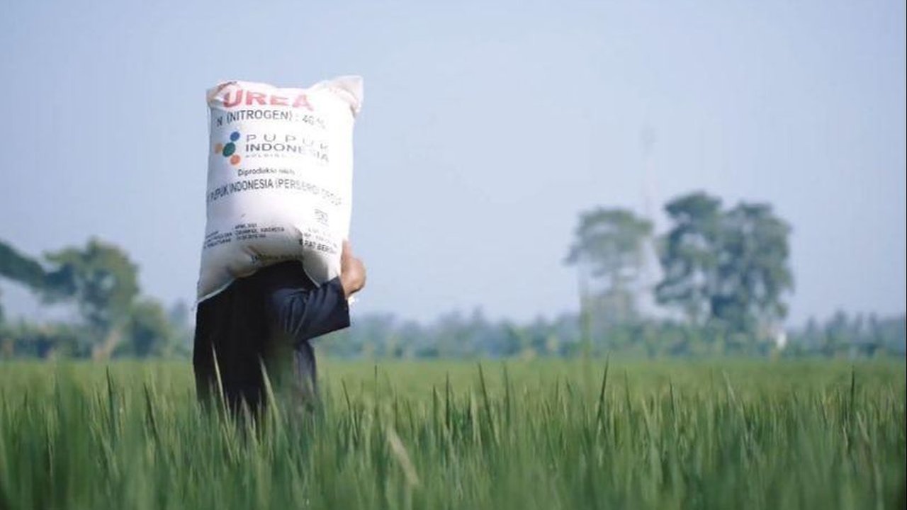 Alokasi Pupuk Bersubsidi Berlimpah, Kementan Imbau Petani Segera Tebus