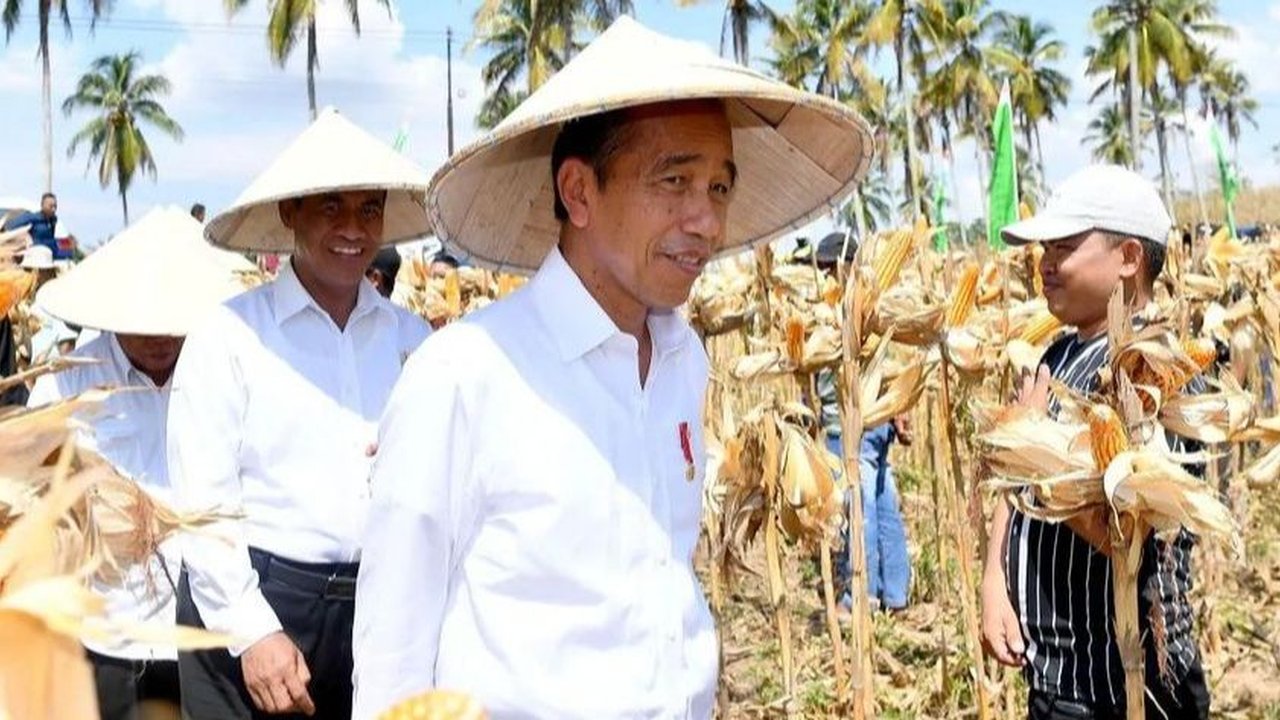 Jokowi Sindir Pemda: Jangan Semua Pemerintah Pusat, Bapak-Ibu Kerjain yang Mana?