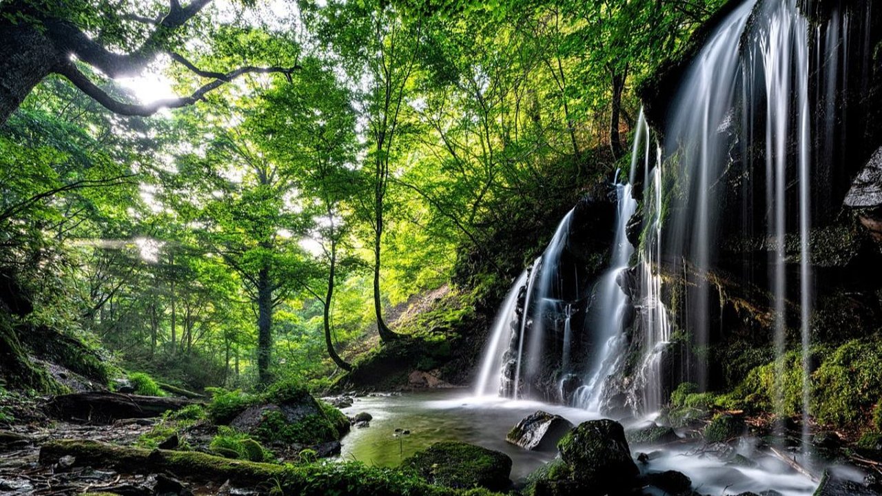 4 Tempat Wisata Puncak Bogor, Cocok untuk Destinasi Liburan Keluarga