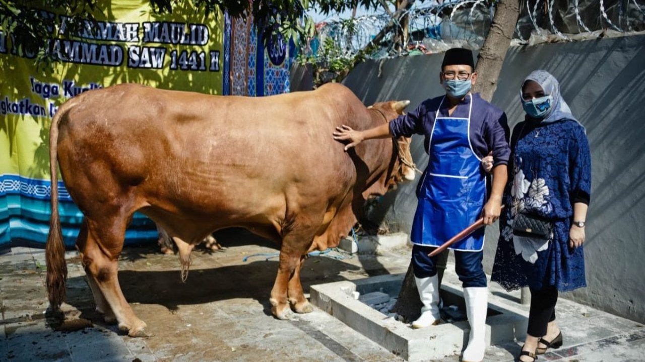 Program Pemberdayaan Usaha BRI: Peternak Kambing Ini Banjir Pembeli dari Berbagai Daerah