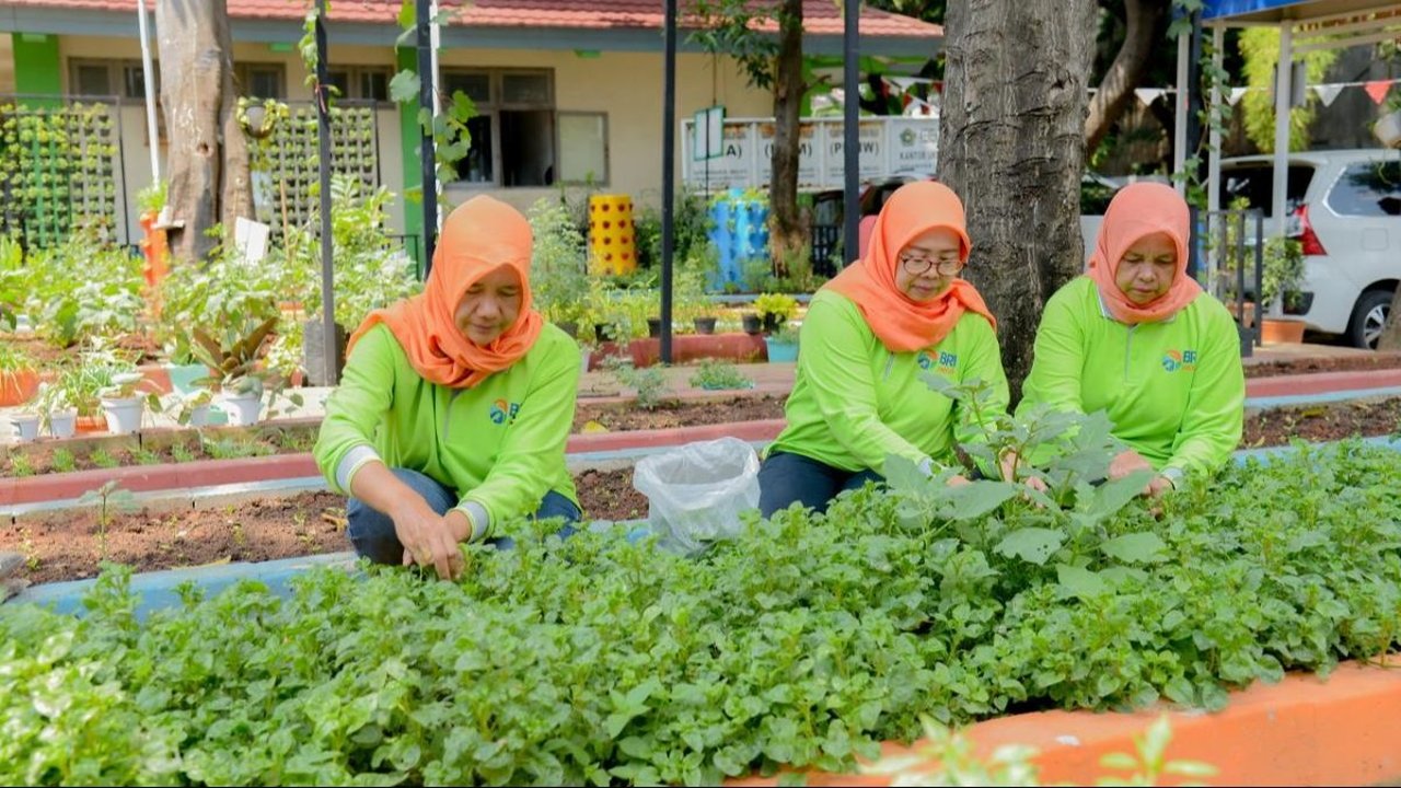 Didukung BRINita, Kelompok Tani Ini Sulap Lahan Terbengkalai Jadi Produktif
