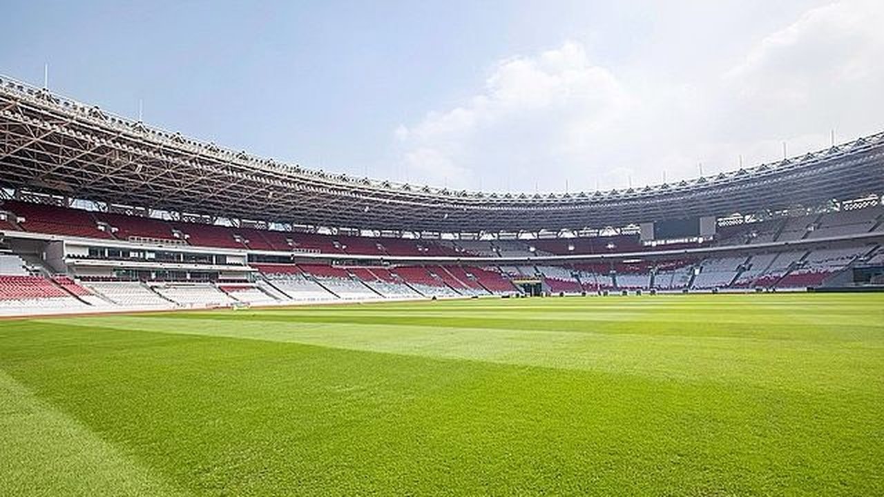 Jelang Laga Indonesia Vs Irak di Kualifikasi Piala Dunia 2026, Begini Penampakan Rumput Stadion GBK yang Jadi Sorotan