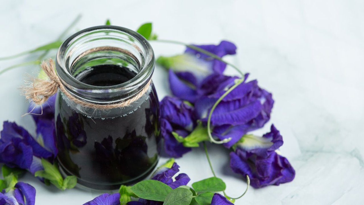 5 Resep Minuman Bunga Telang yang Menyegarkan dan Menyehatkan