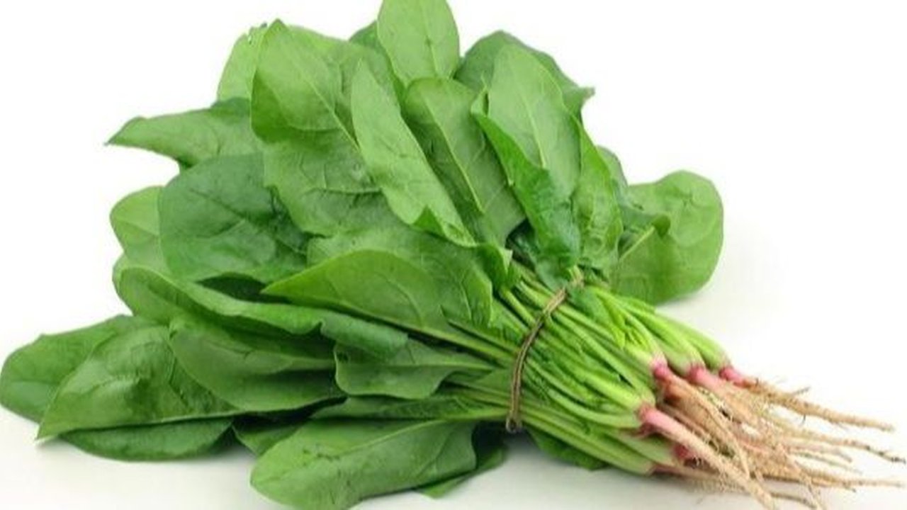 Inspiratif, Pemuda Transmigrasi Ini Bertani Hidroponik Beromzet Fantastis 'Alhamdulillah Sudah Kembali Modal'